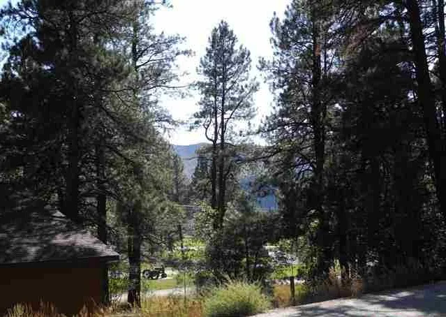 View and the road