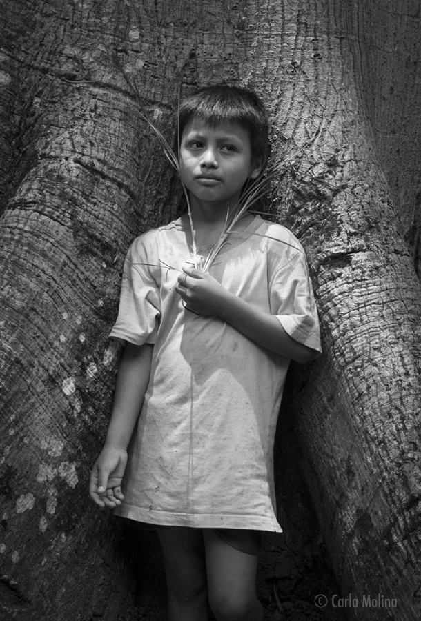 A BOY NAMED EVER (rio Dulce, Guatemala) 11 X 17 PRINT $55 20 X 30 PRINT $105 a timeless portrait of a young boy named ever. Captured in a beautiful wash of light, snug in the crevasse of an ancient mangrove tree, holding a blade of grass. he had selected the grass as his favorite object which he wrote about and later took many pictures of with his camera. © Carla molina