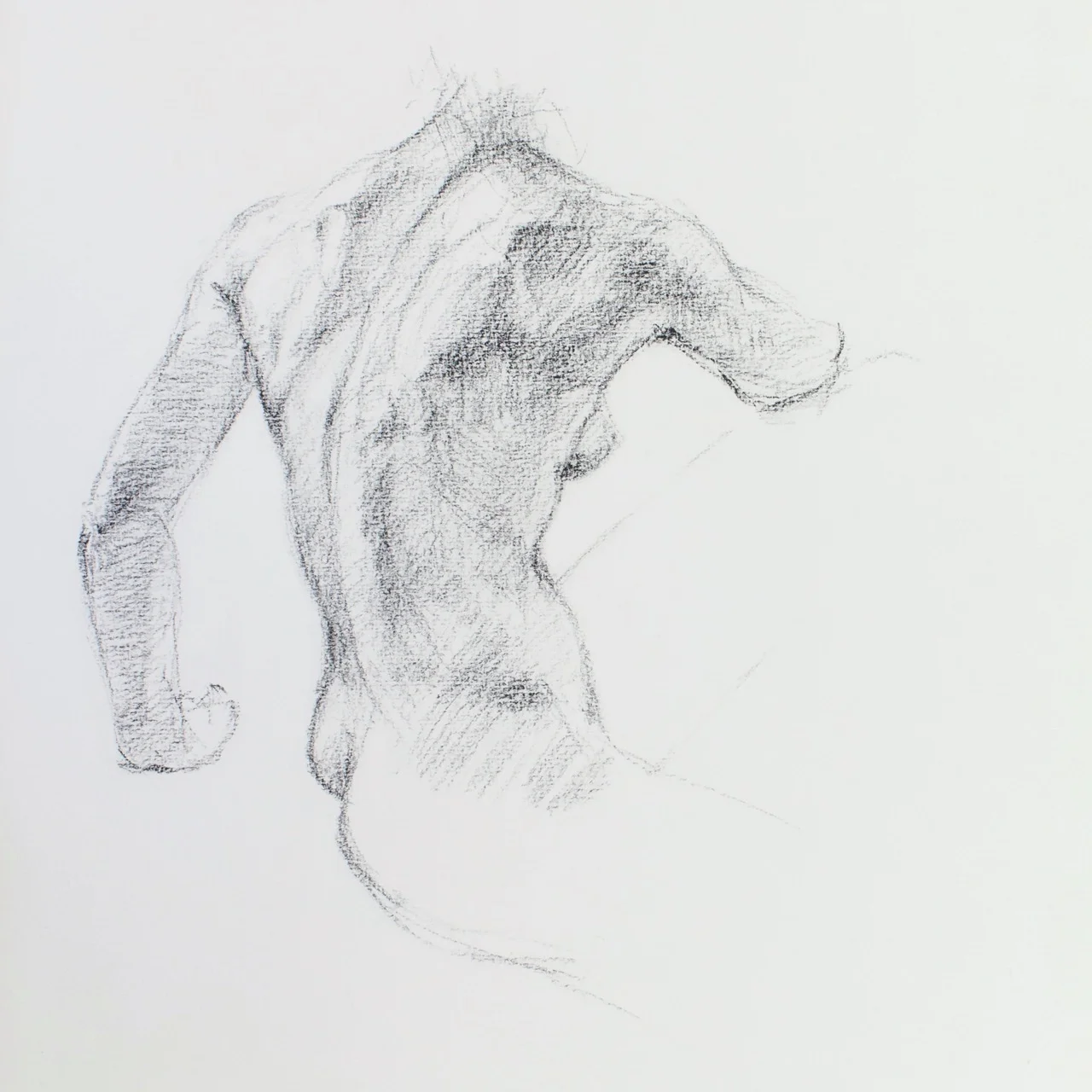 SCULPT_280.jpg