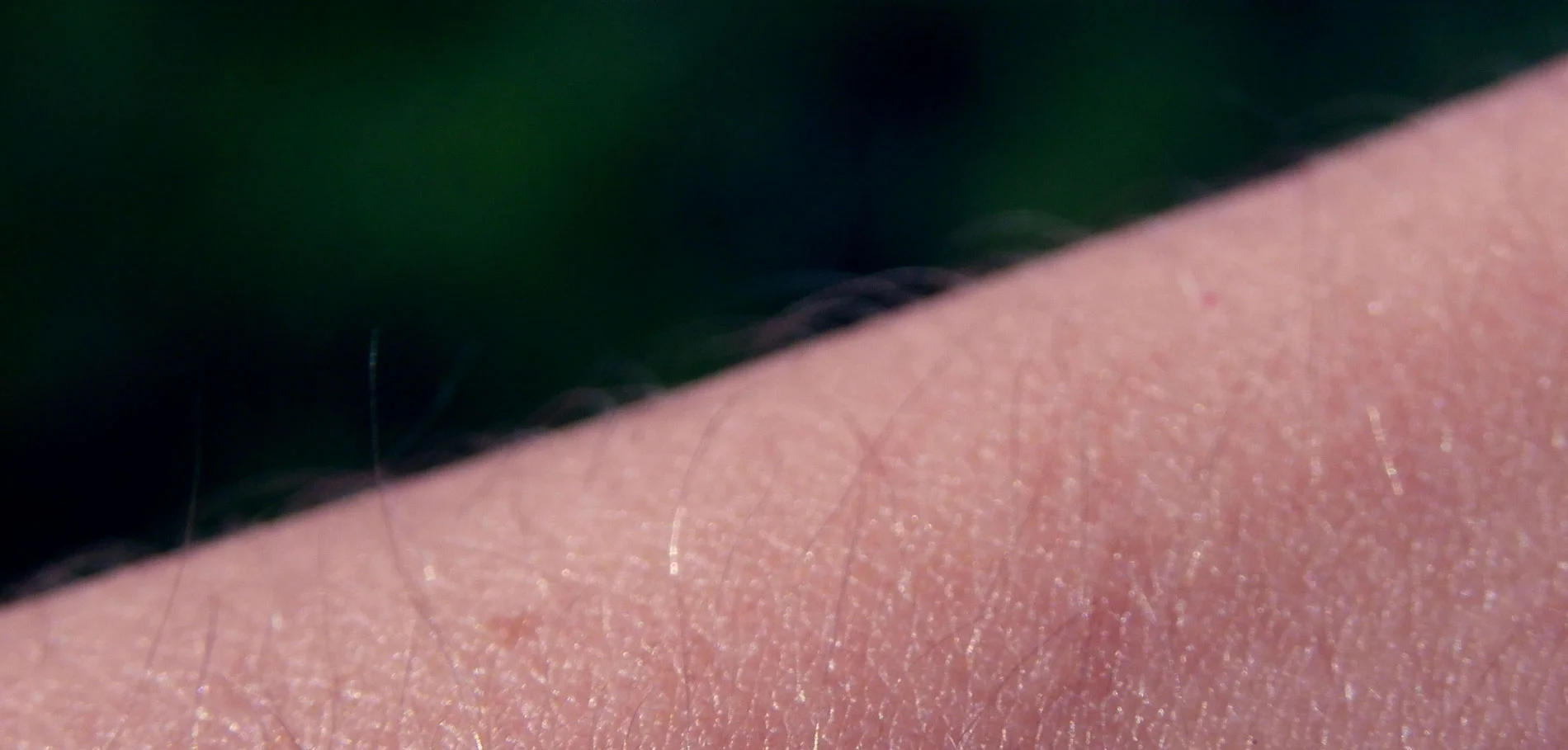 Does Your Personality Give You the Music Chills?