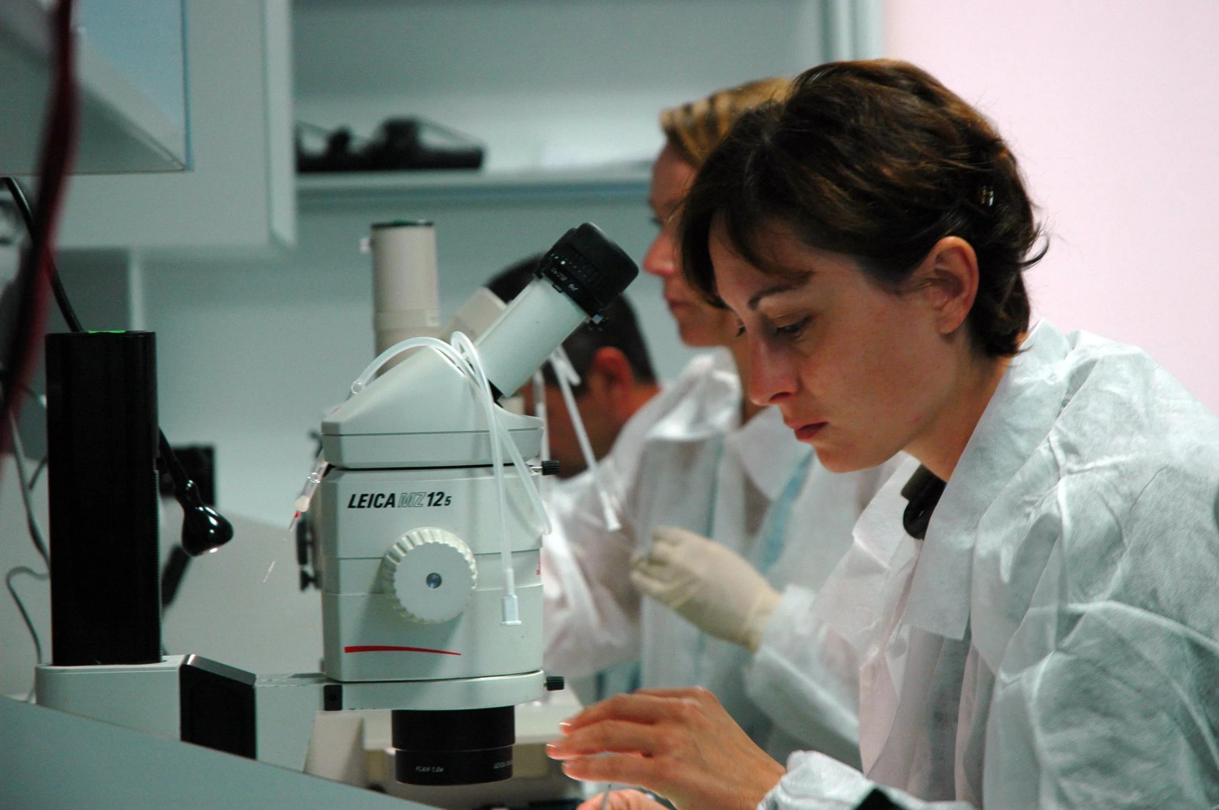 Musicologist Finds Catchiest Song