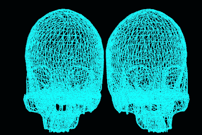 Bill Miller - '02232014_skulls_1'