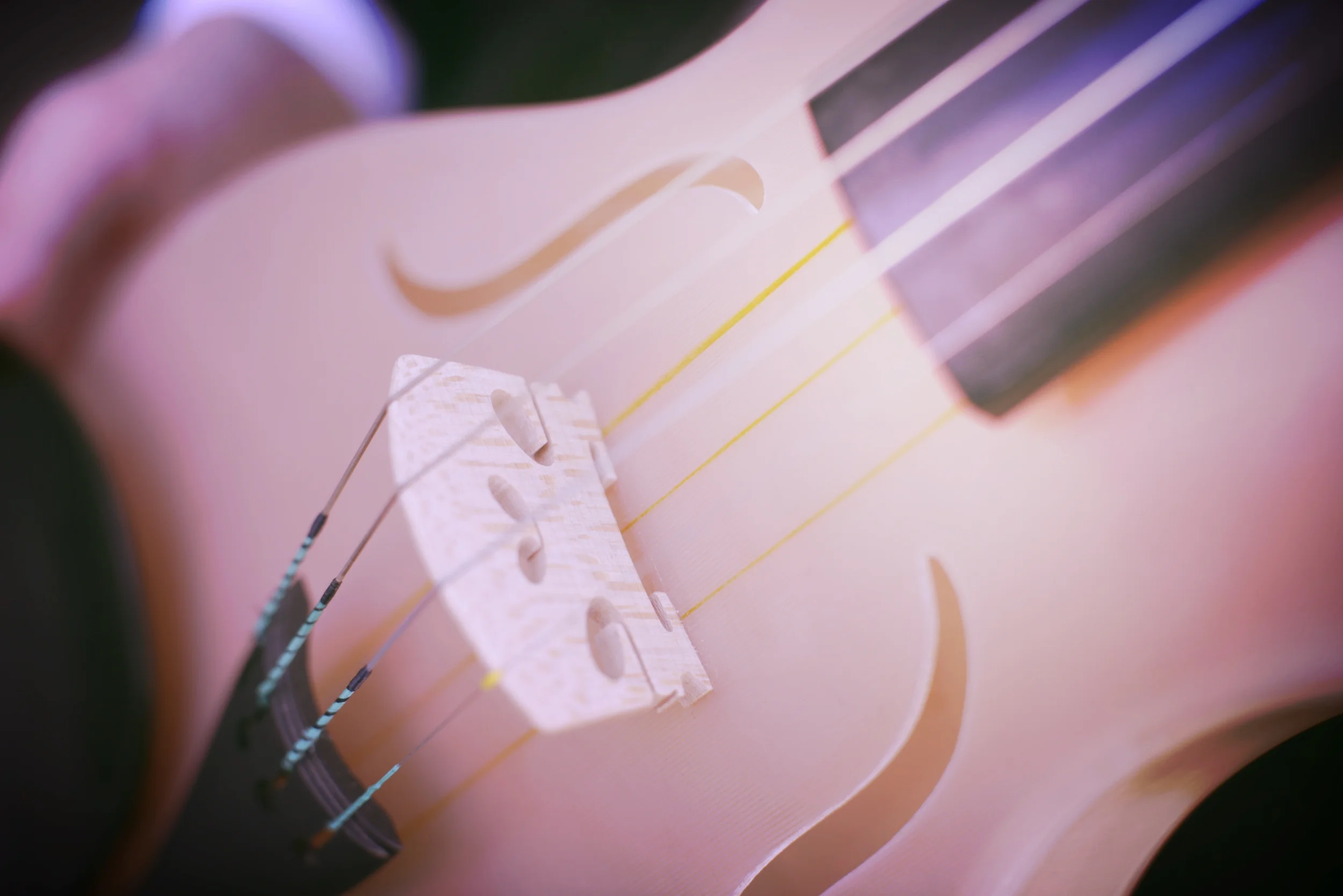 Violin Made With Spider Silk