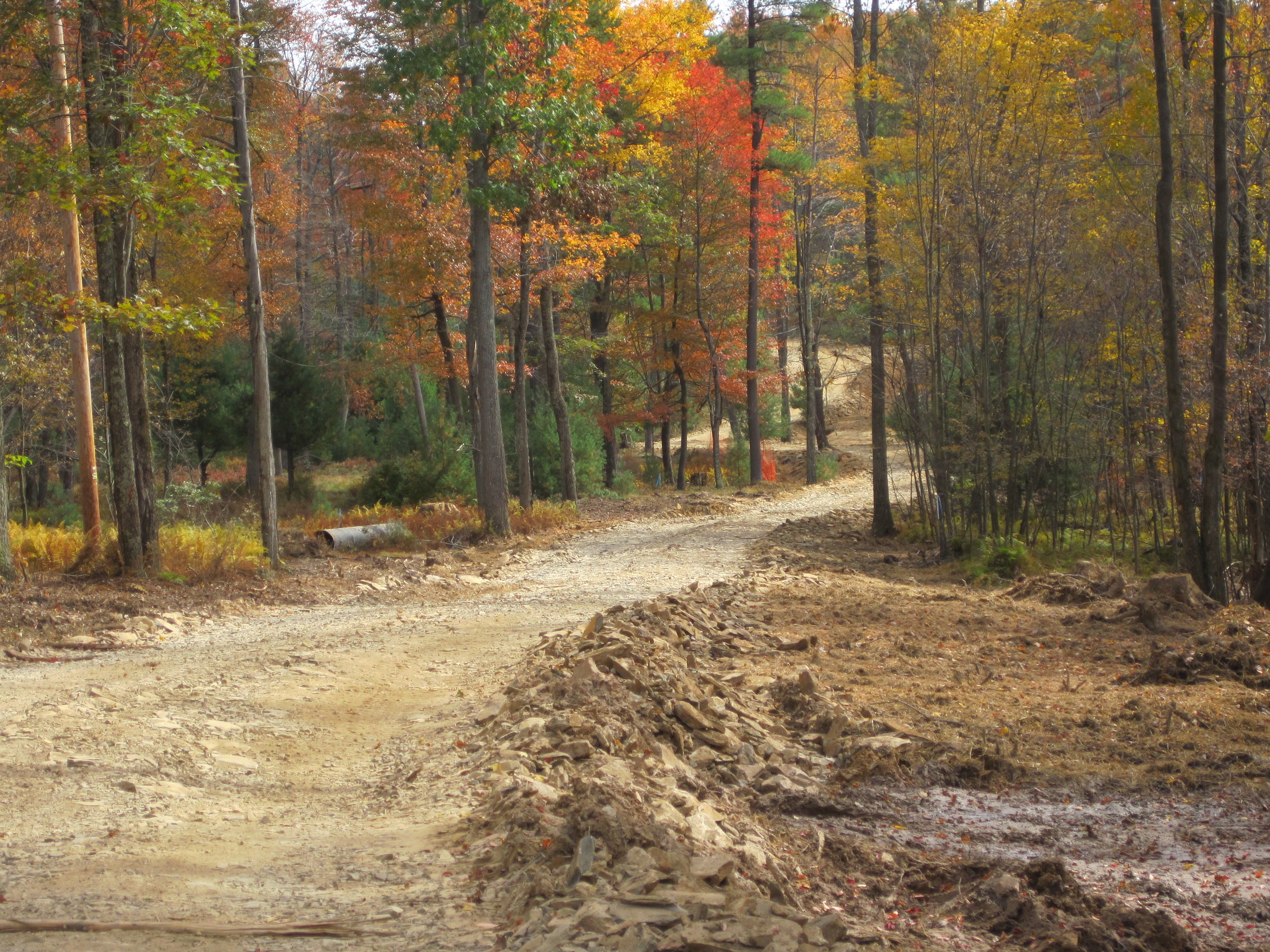 ROW Bowman back to HH.JPG