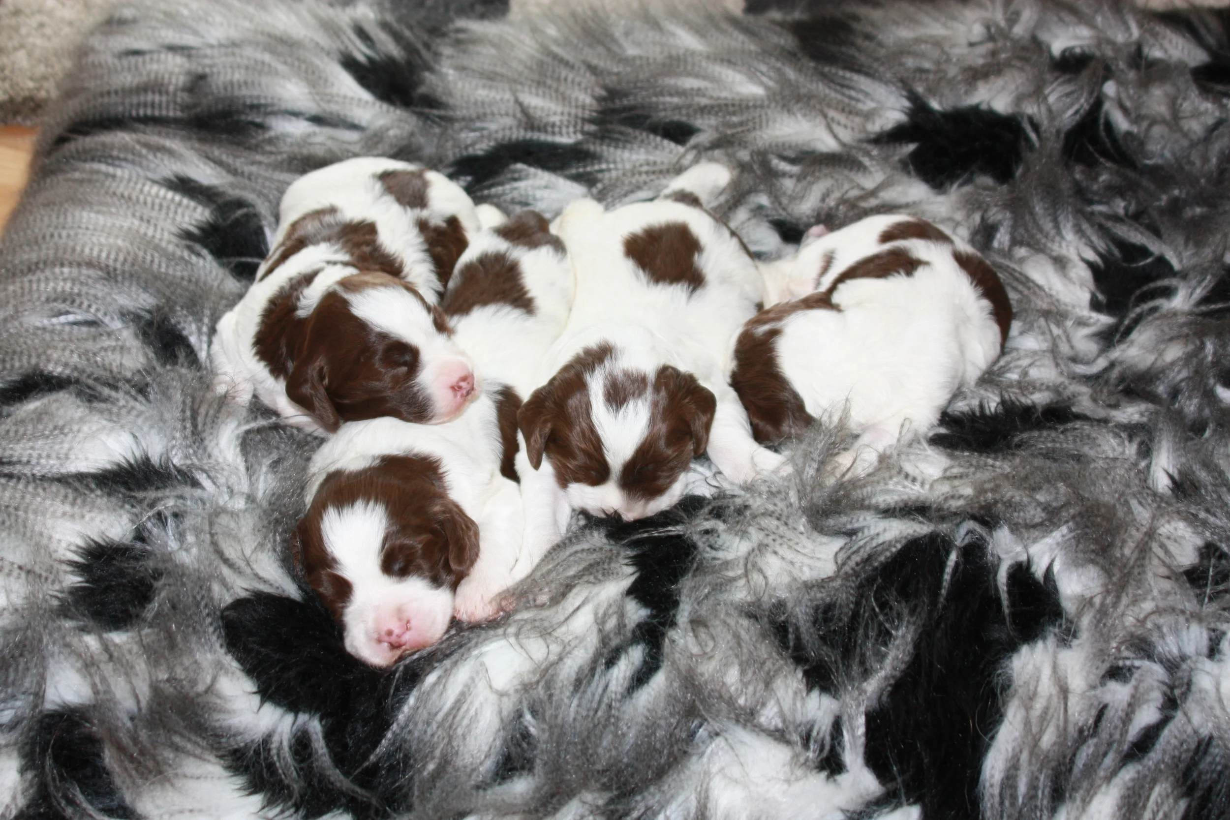 The boys resting after a long photo shoot.