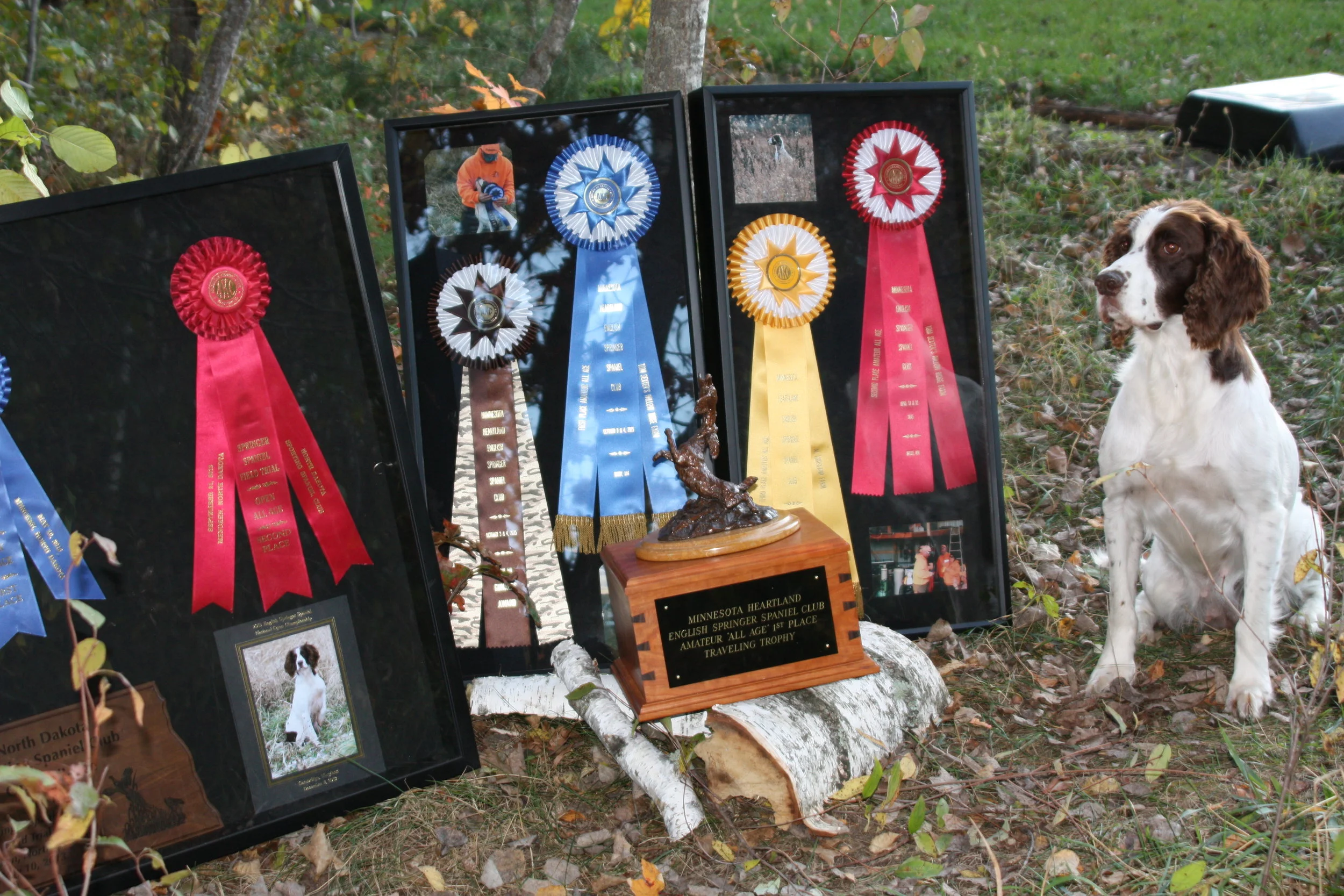 Congrats Stella on her first place win!