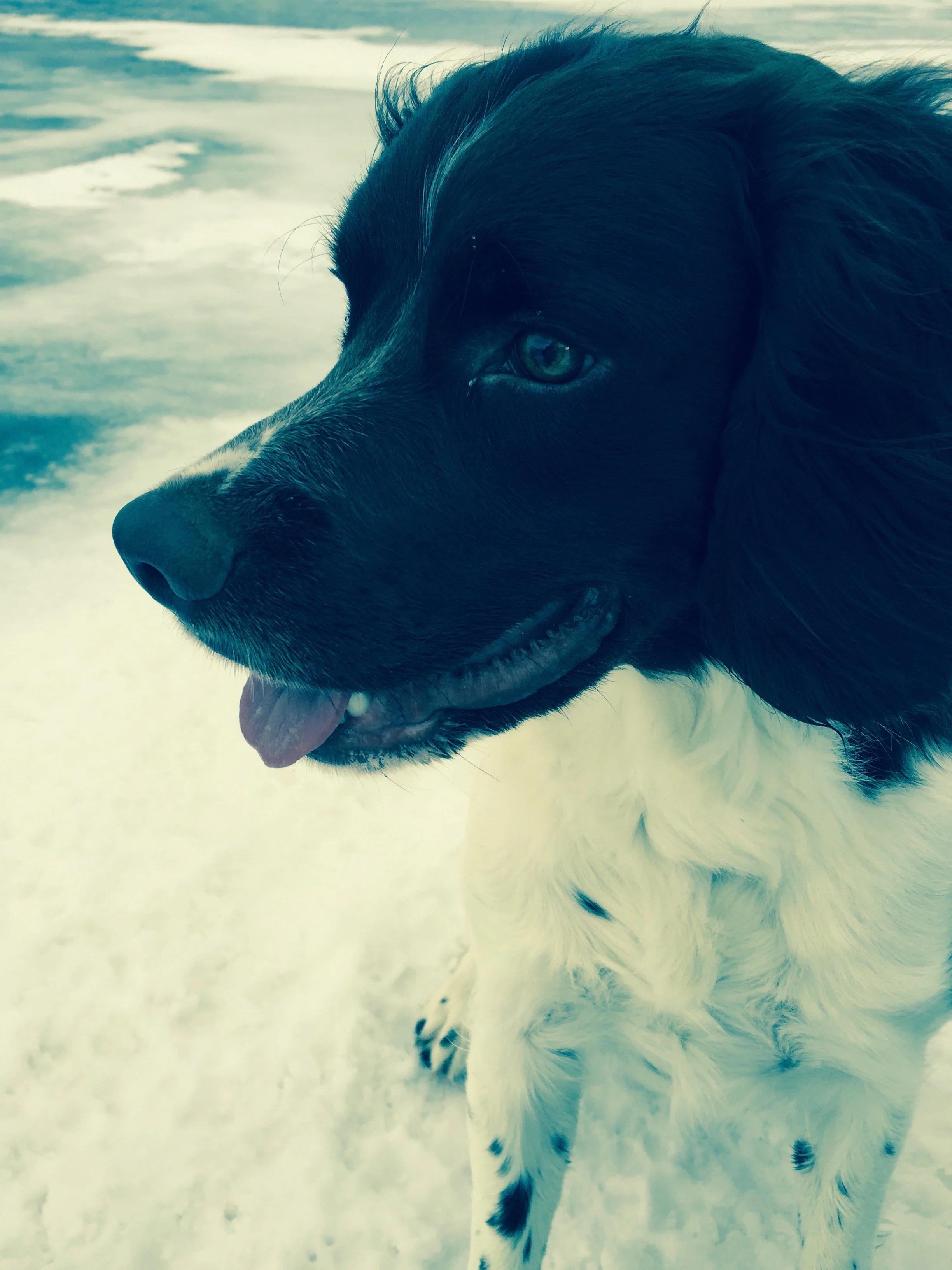 So cute, and so photogenic!