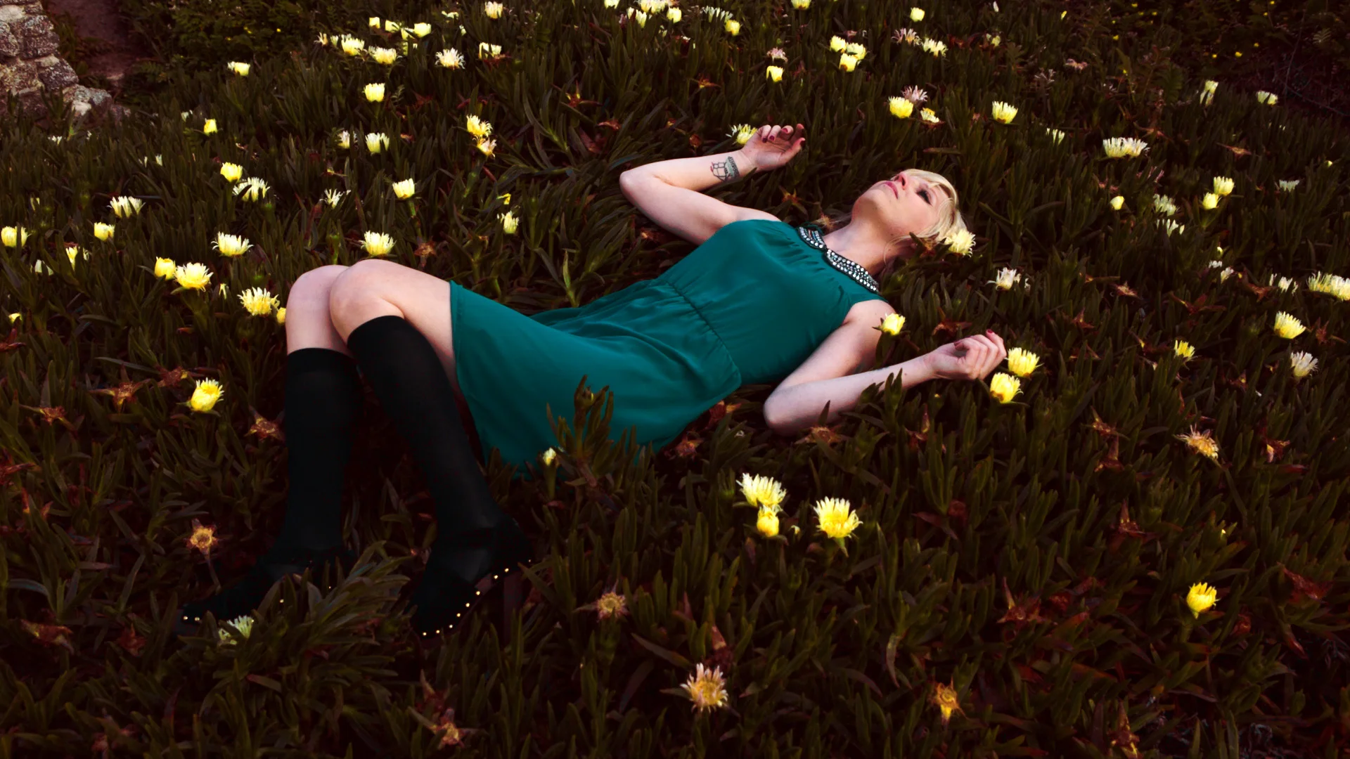 Isley_Blog_1.40.1.jpg