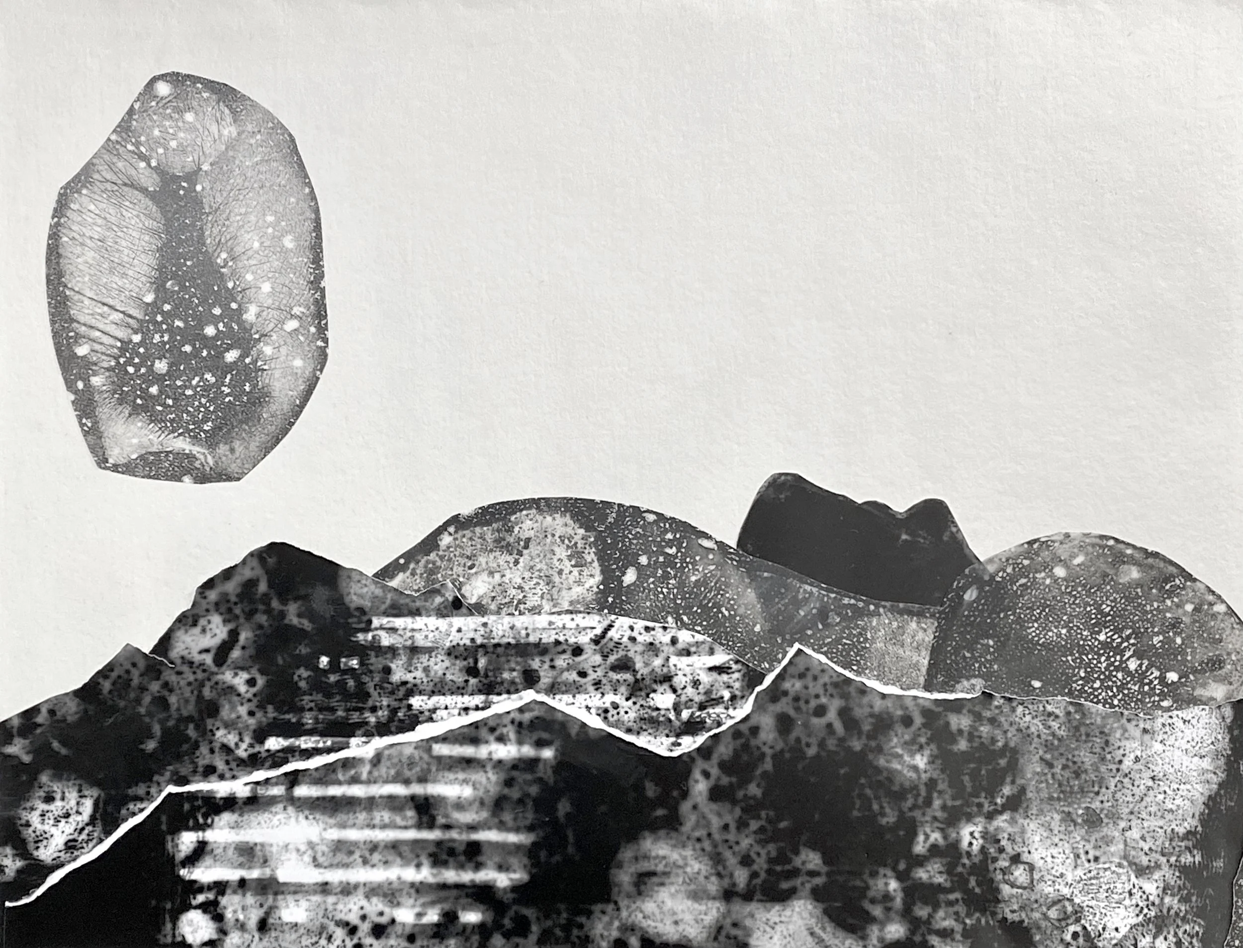 Kathryn Rodrigues 2.jpg