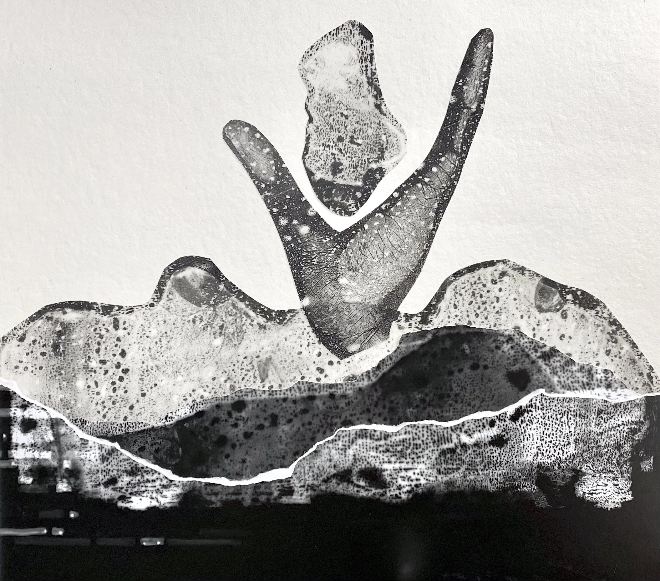 Kathryn Rodrigues 3.jpg