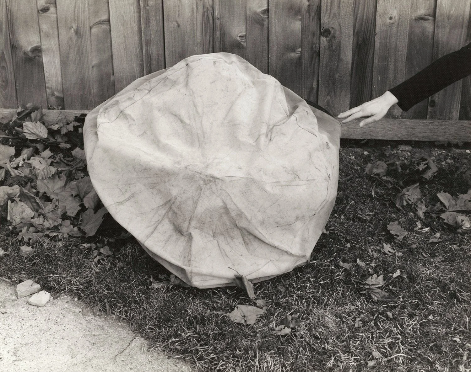 PS LE Homesick 5.jpeg