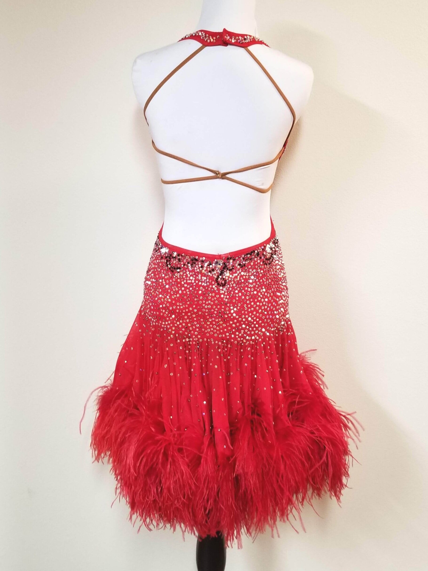 Scarlet Siren — Dazzle Dance Dress Rentals - Ballroom Dance Dress ...