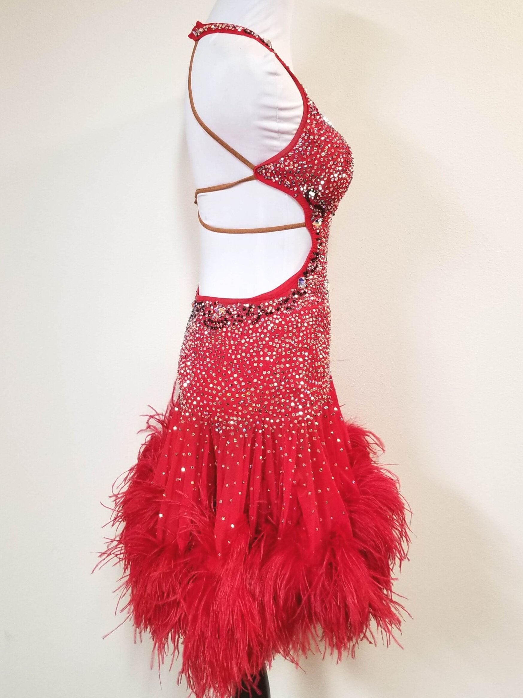 Scarlet Siren — Dazzle Dance Dress Rentals - Ballroom Dance Dress ...