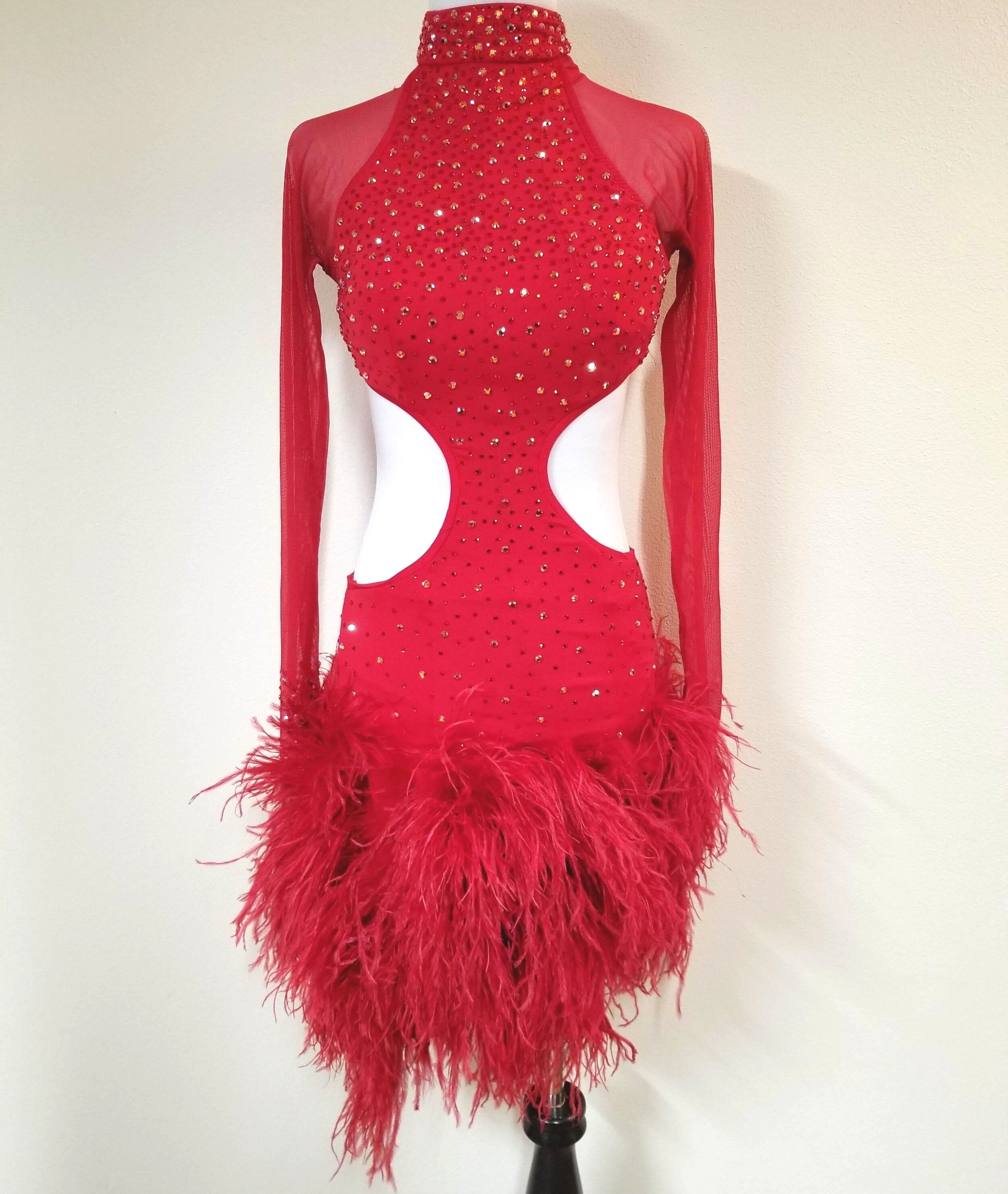 Red Feather Riot — Dazzle Dance Dress Rentals - Ballroom Dance Dress  Rentals - Latin, Rhythm, Smooth and Standard Ballroom Dresses