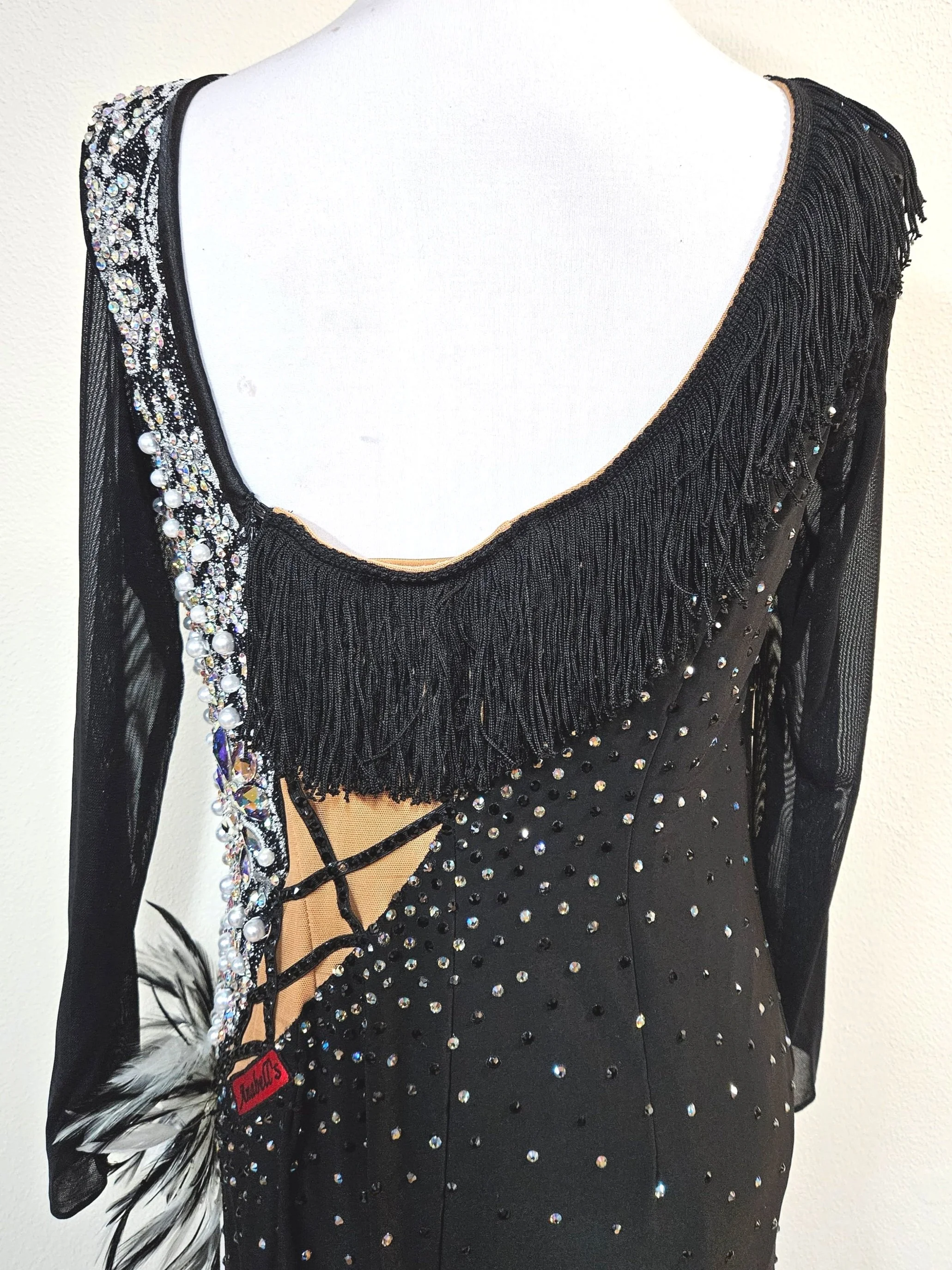Moonrise  Dazzle Dance Dresses - Ballroom Dance Dresses - Latin, Rhythm,  Smooth and Standard Ballroom Dresses