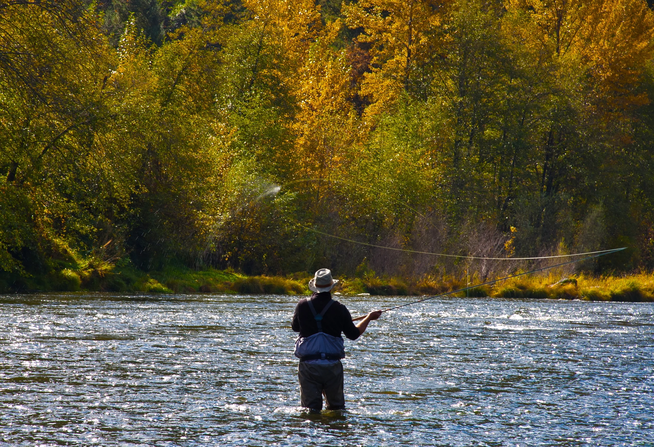 Fly Fishing.jpg