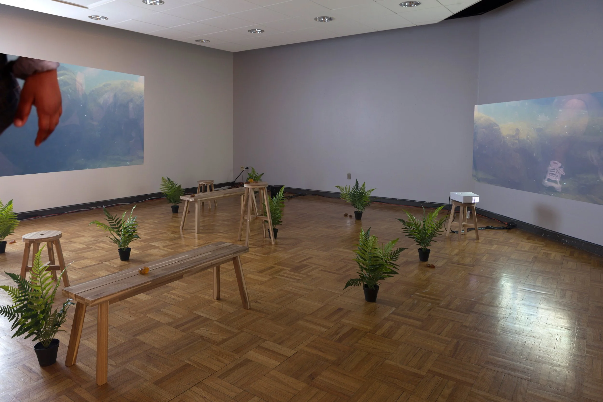 Untitled 2015-16_Installation_1_Edit.jpg