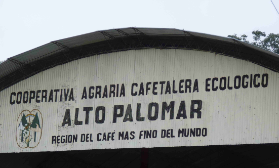 Usda Organic Fair Trade Coffee - Alto Palomar Peru - Arch