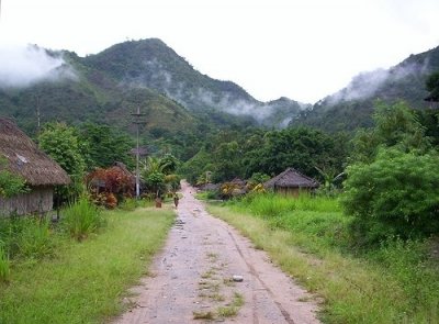 Usda Organic Fair Trade Coffee - La Florida, Peru - Mountain of Origin