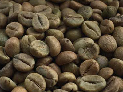 Usda Organic Coffee - Robusta Cherry AB India - Coffee Beans