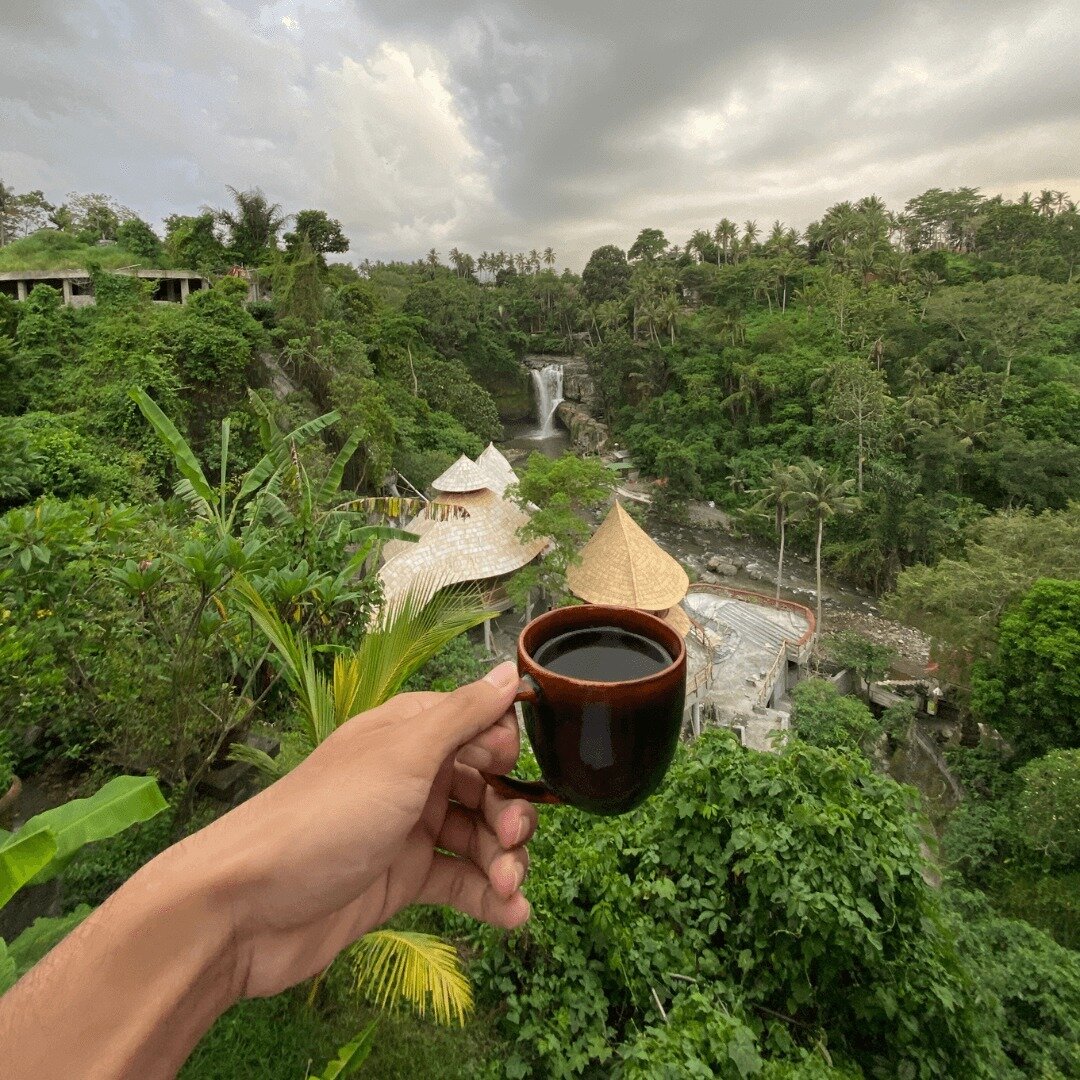 Organic Nespresso Pods & Capsules USDA Certified Artizan Coffee