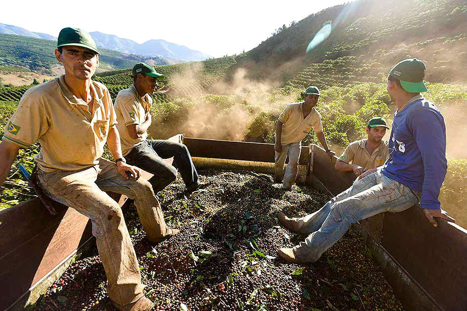 Just In: New organic coffee from Brazil 🇧🇷 ☕ We landed on a special treat traceable to a single estate in the Matas de Minas region of Brazil. With notes of Walnut and Cocoa, this coffee is available in our Nespresso capsules, Whole Bean &amp; Grou