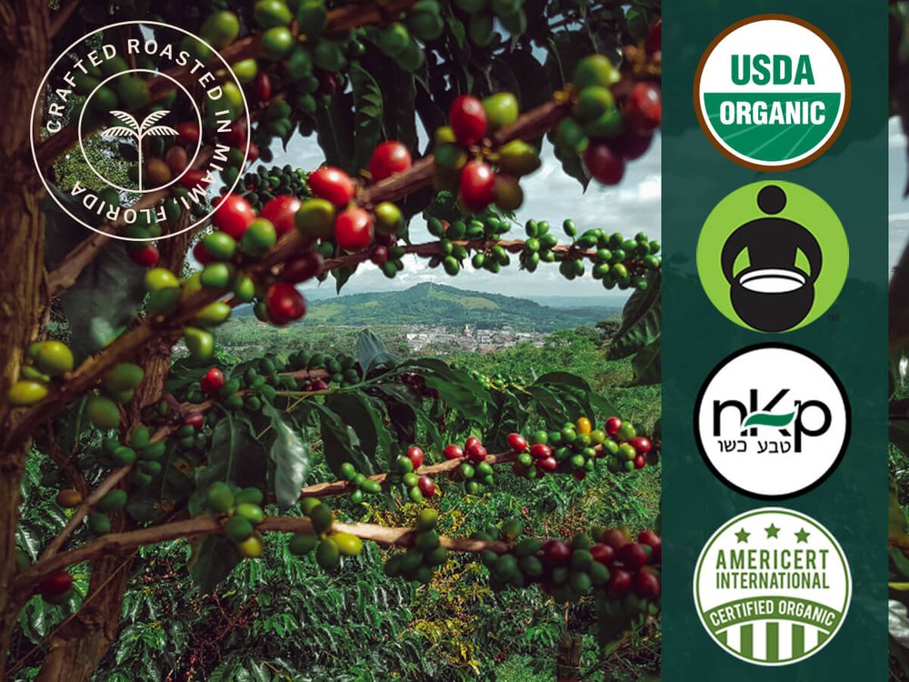 Organic Brazil - Nossa Senhora De Fatima - Estate — Organic Nespresso Pods  & Capsules - USDA Certified - Artizan Coffee