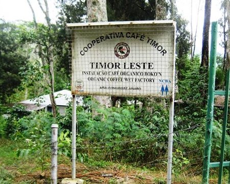 Organic Timor Decaf Swiss Water - FAIR TRADE  - Cooperative Name