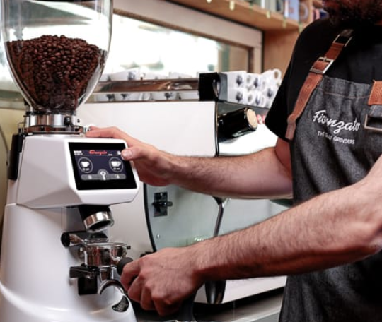 Fiorenzato F64 EVO XGI V110 Espresso Coffee Grinder