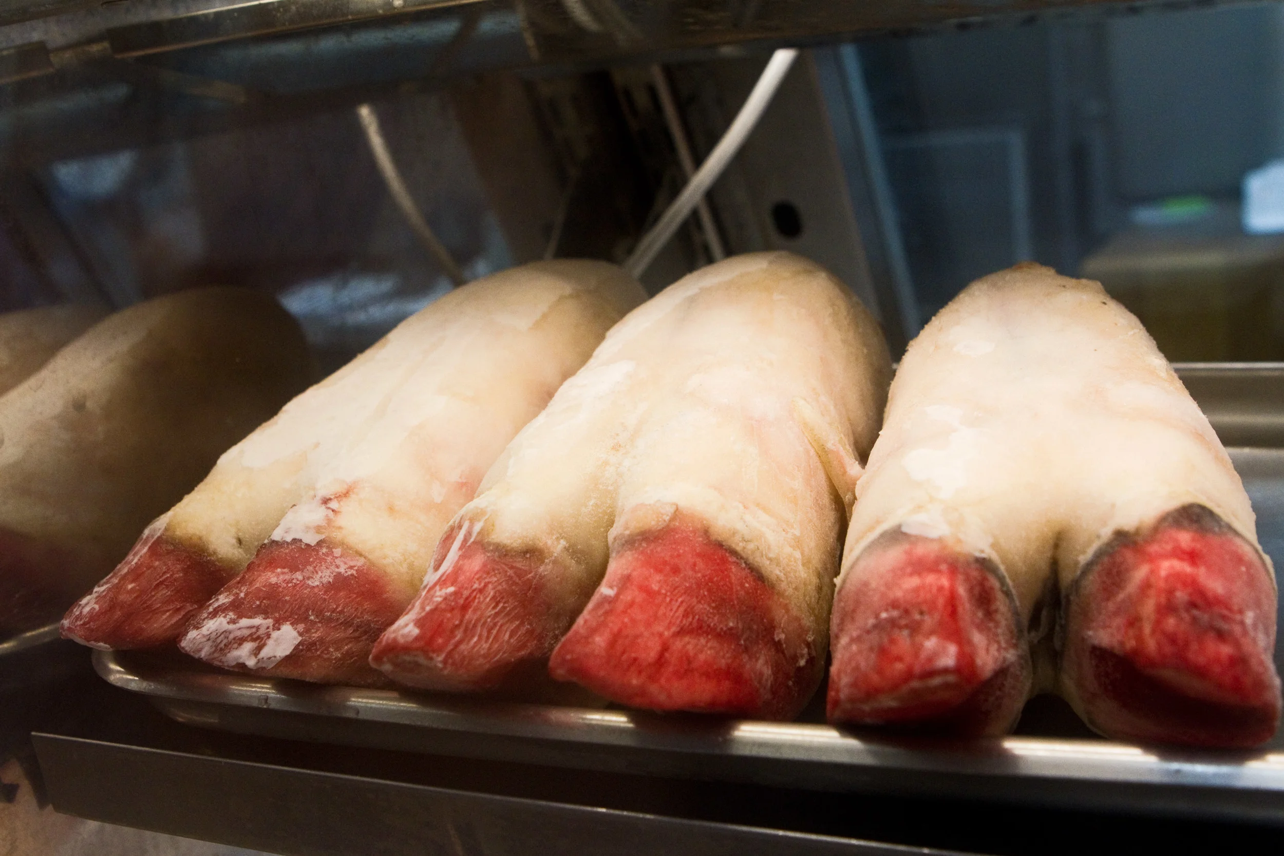 Pig's feet on a butcher's shelf in New York City