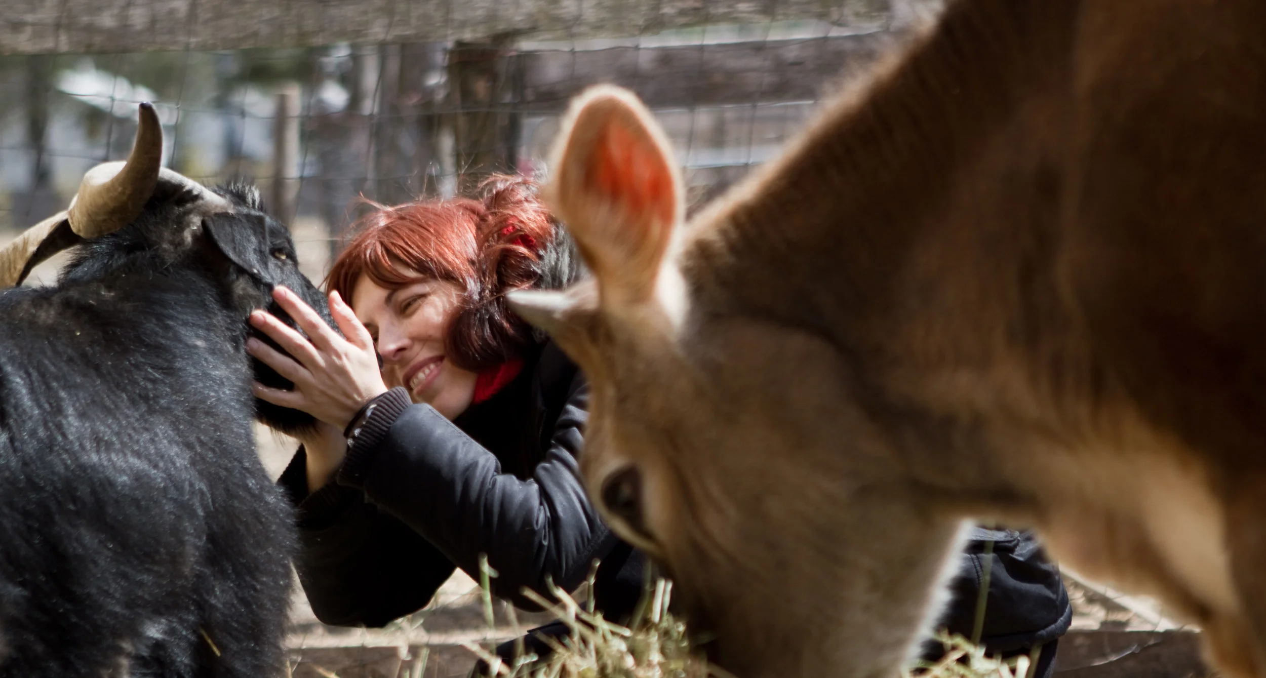 Dona and goat WEB.jpg