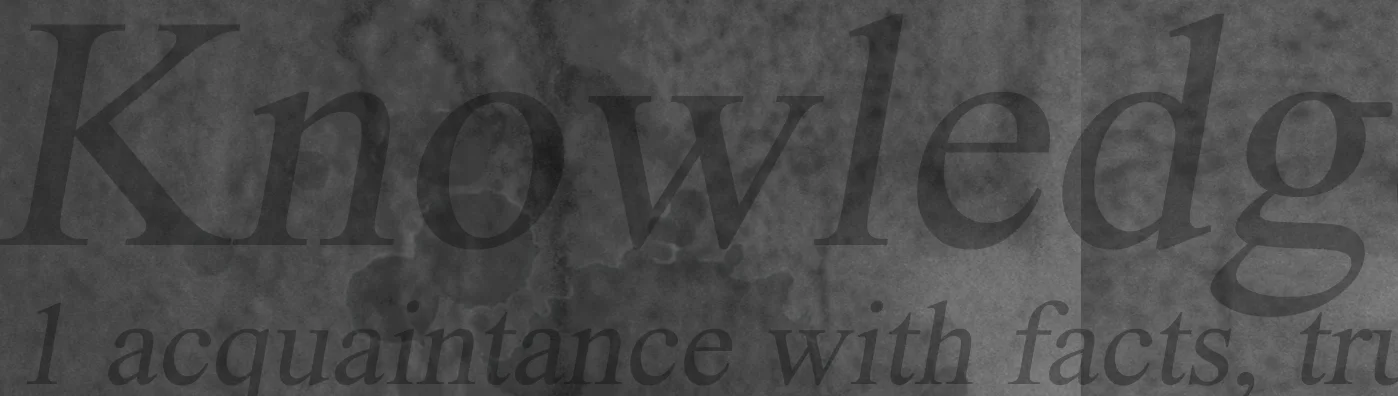 Owl on Books VFN cropped.jpg