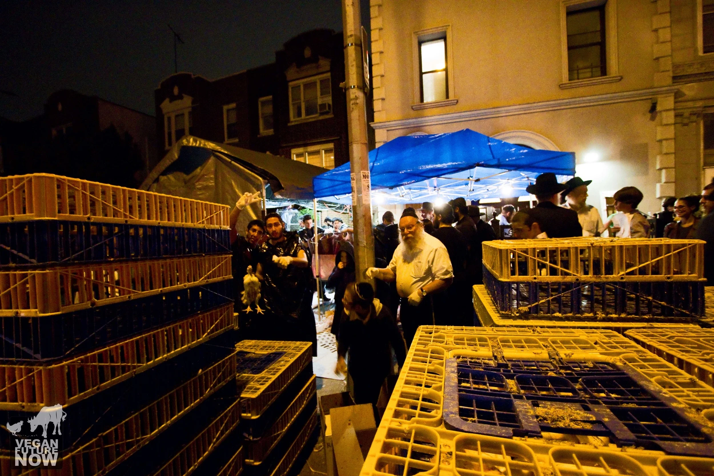 Dozens of large plastic crates, each containing several live chickens, are stacked on the street in front of the make-shift abattoir.