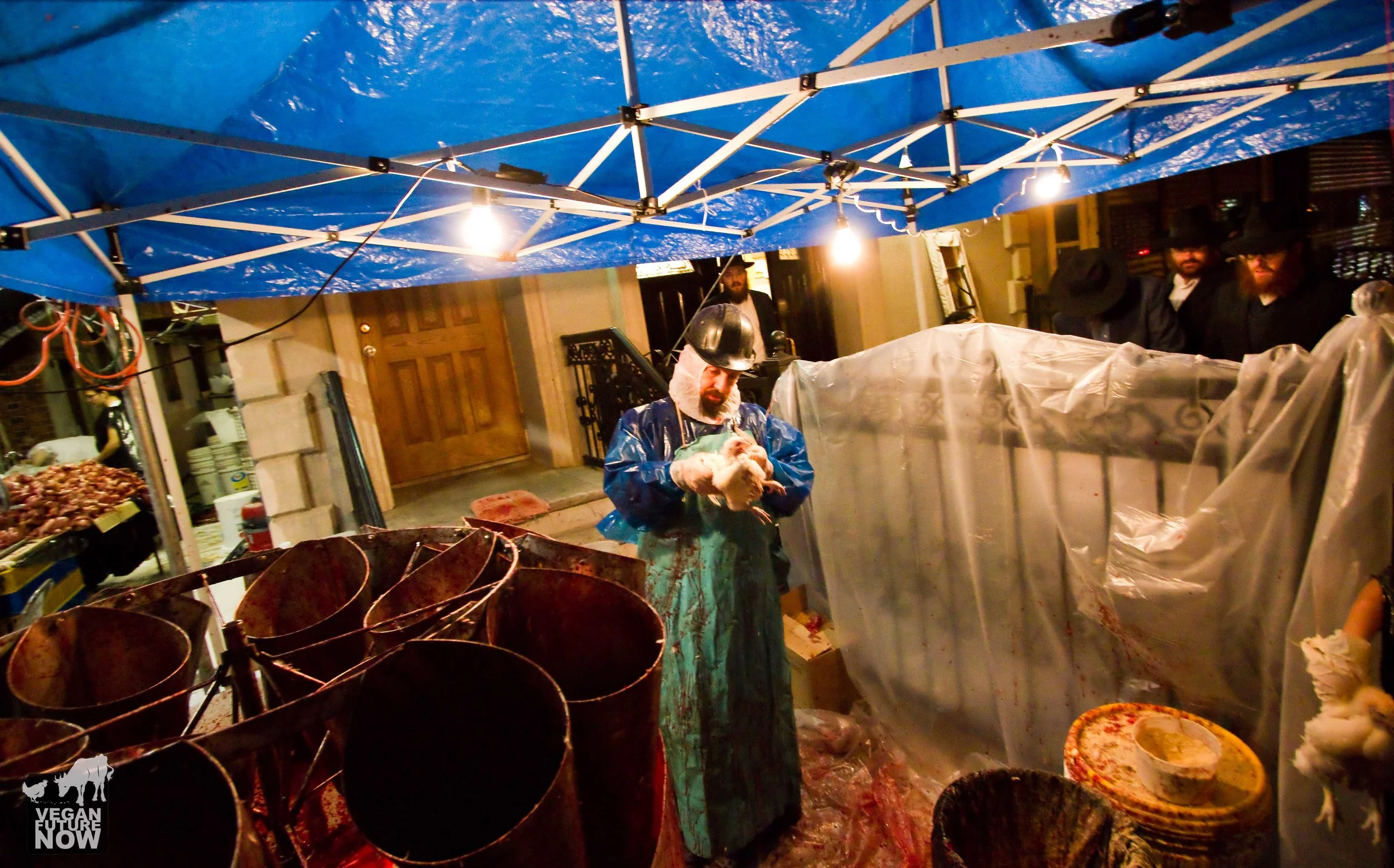 Once the brief ceremony of expiation is complete, the participants deliver the live chicken to the rabbi, who utters some words in Hebrew before the killing begins.