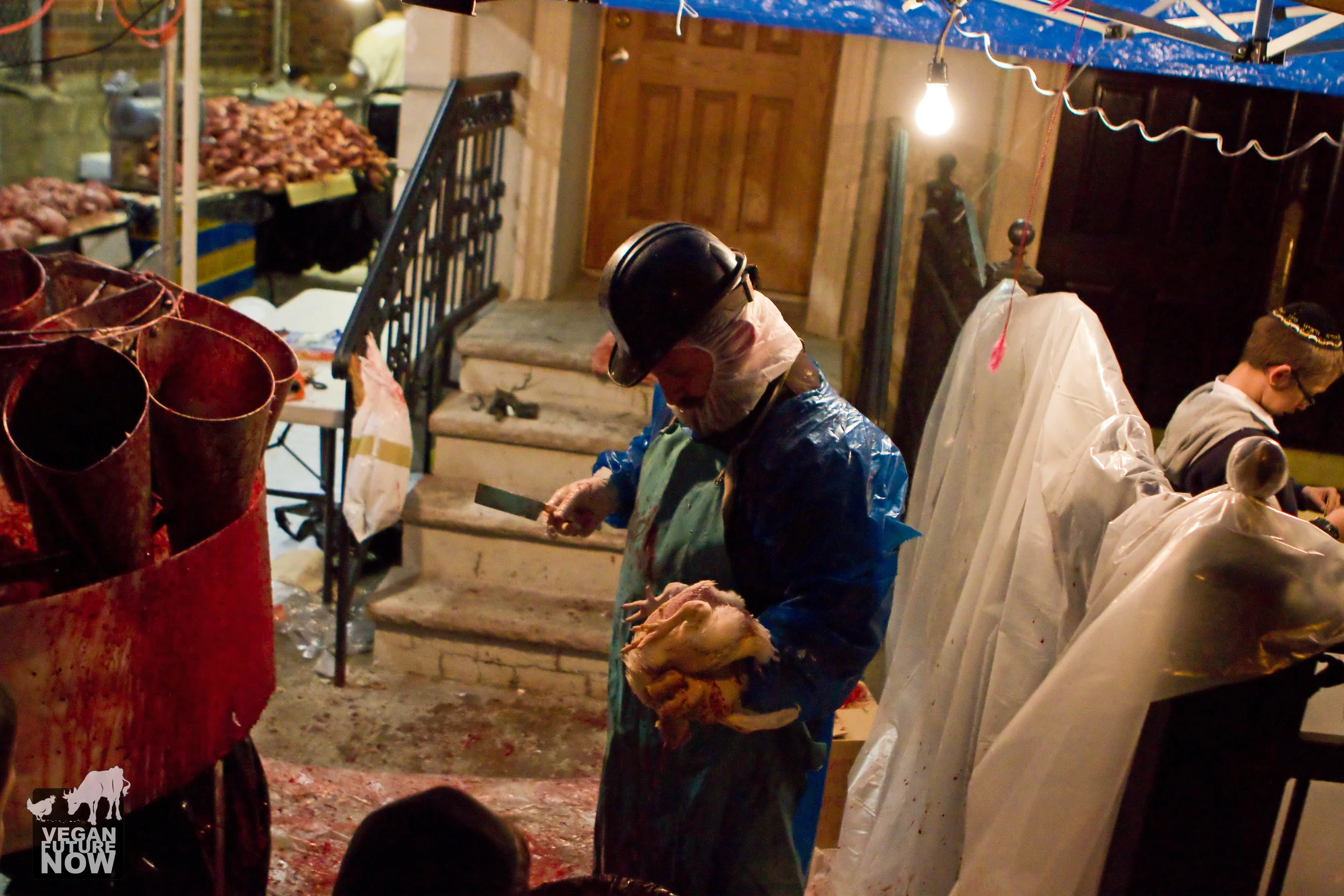 The rabbi watches as blood drains from the neck of his victim.