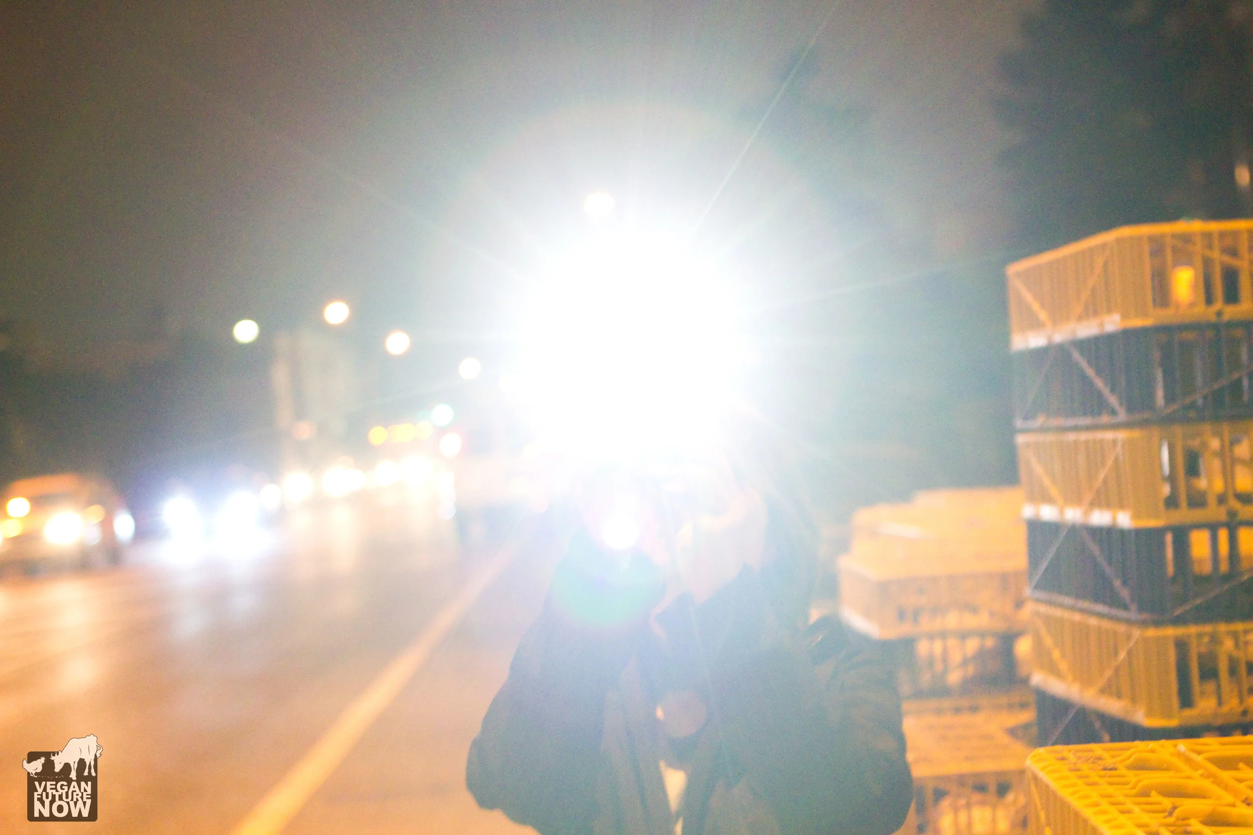 This woman shone the light of her cellphone in my face for some reason that wasn't entirely clear to me. I return the favor by shining an even brighter light on the savagery and cruelty of Kaporos. Until all animals are free from harm at human hands, we will be there to shine a light in the darkness.