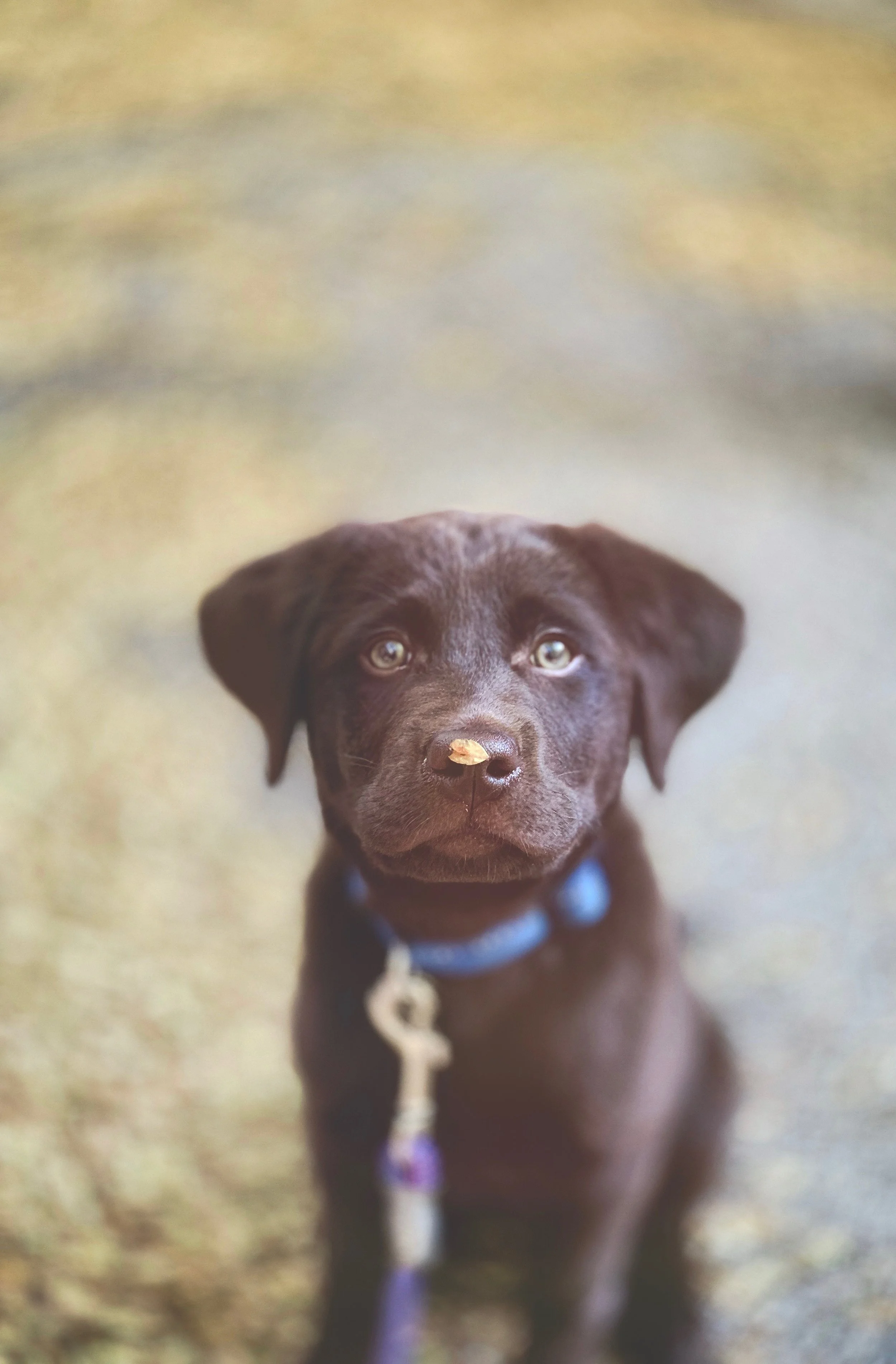 AB001939-AD49-4A65-A716-D44E8C3B6718.jpeg