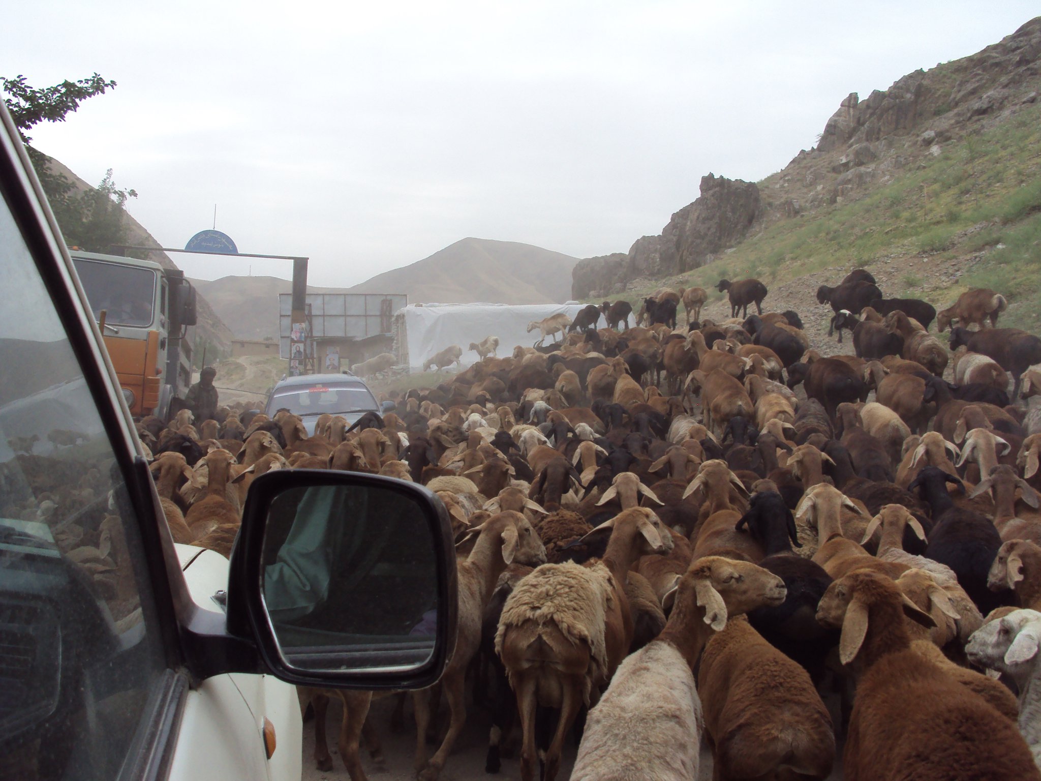 Traffic jam - Afghanistan style. 