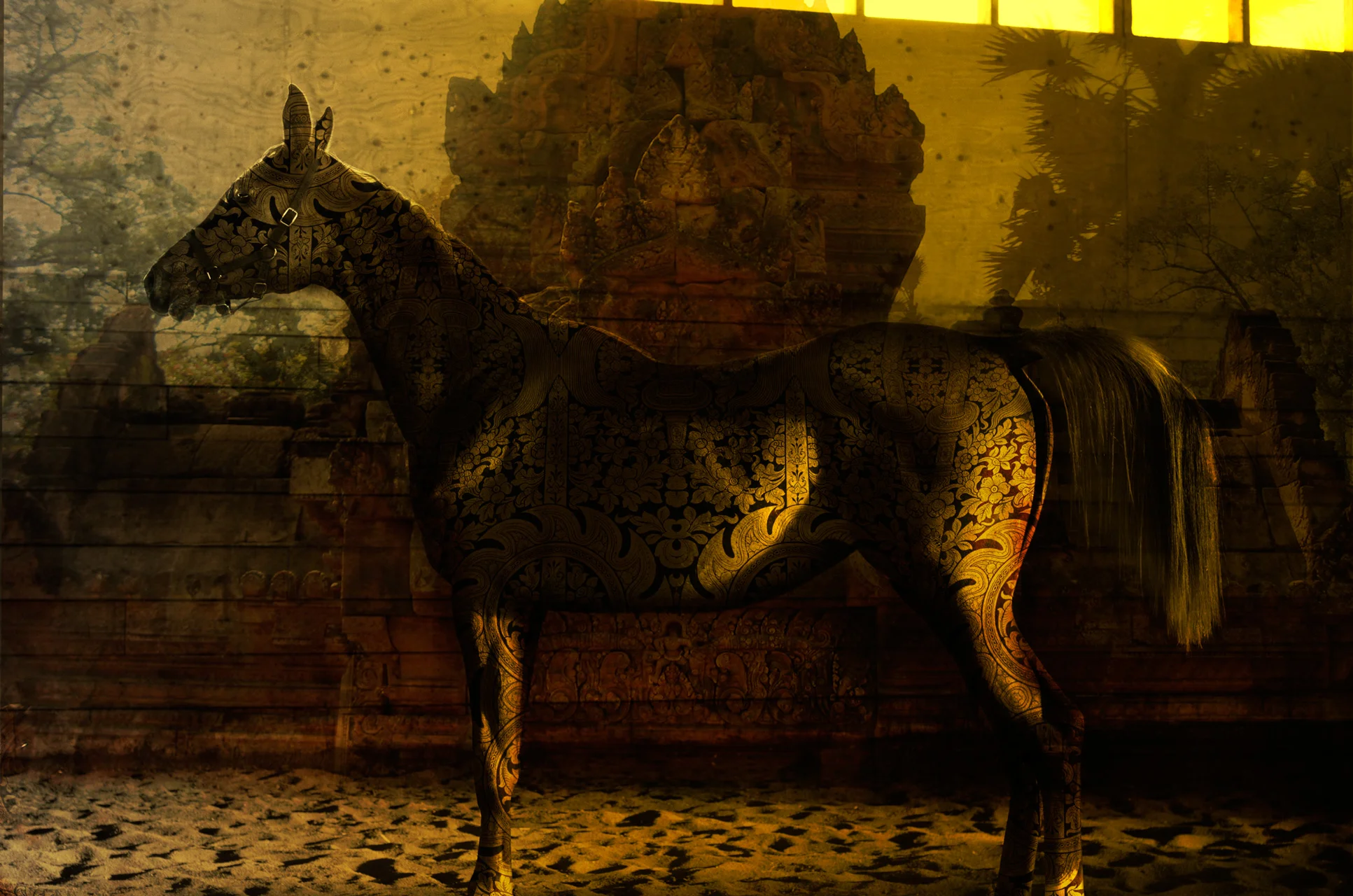 Arabian Dream