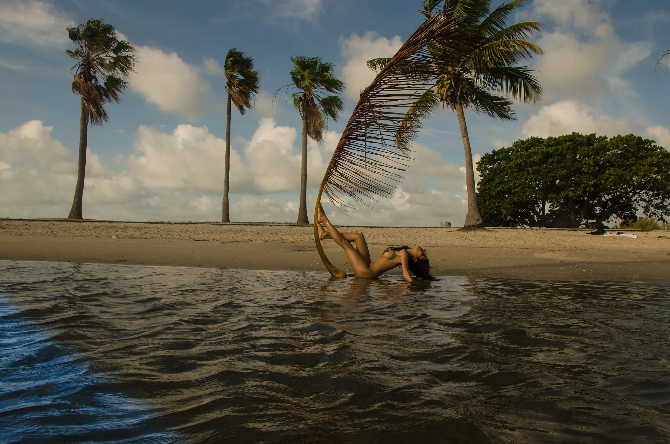 PALM-Ingrid_DSC1372.jpg