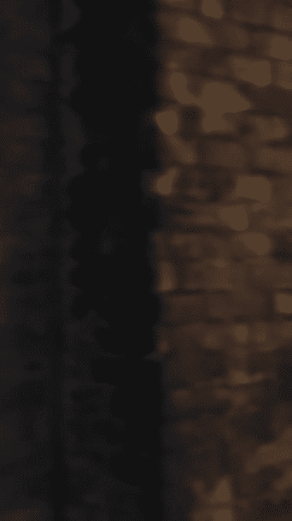 UshaJey_06_9x16-high+(1).gif