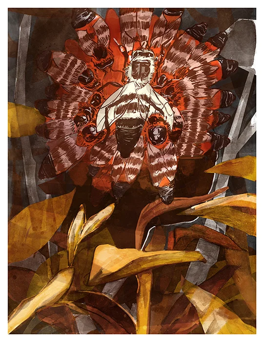 ColinLaurel_garden_web.jpg