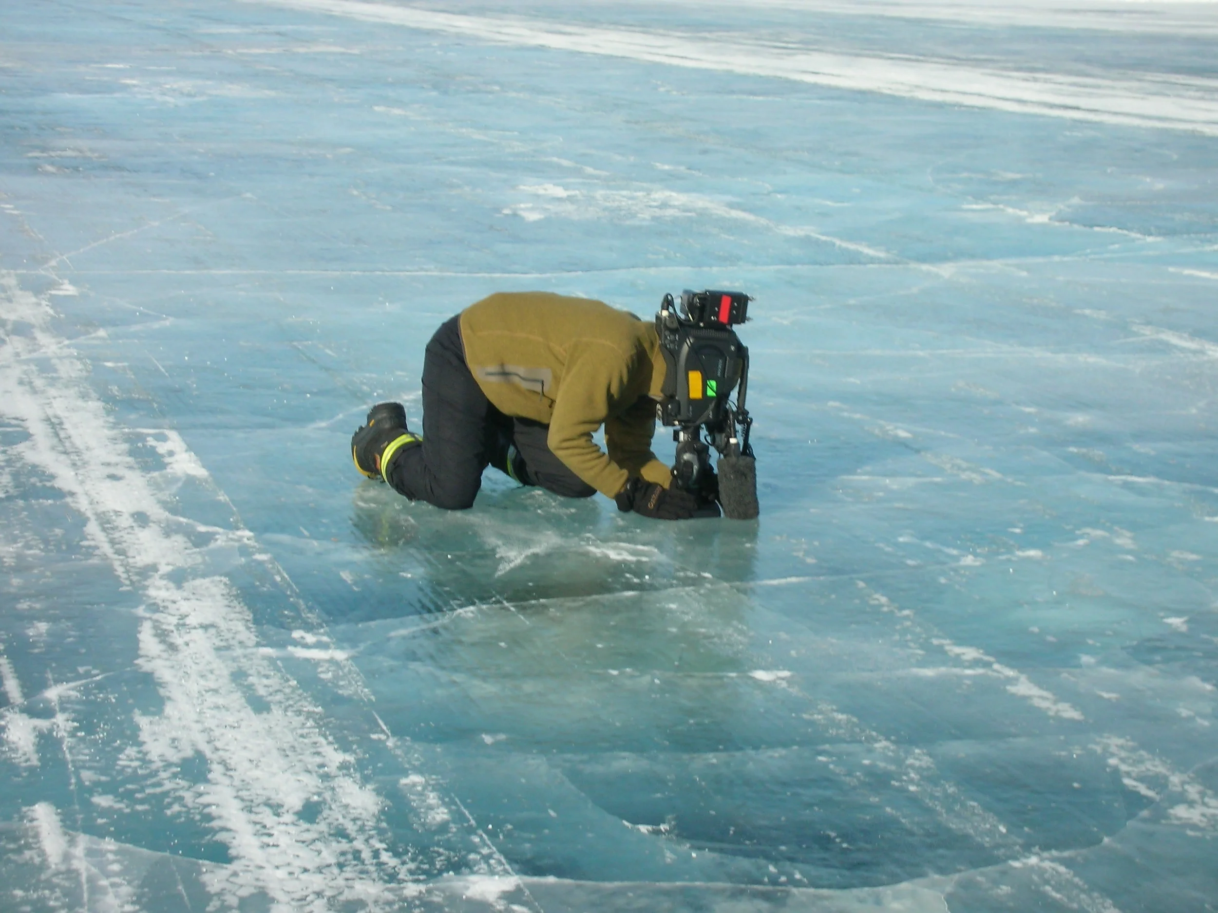 GAV SHOOTING FOR STARS.jpg