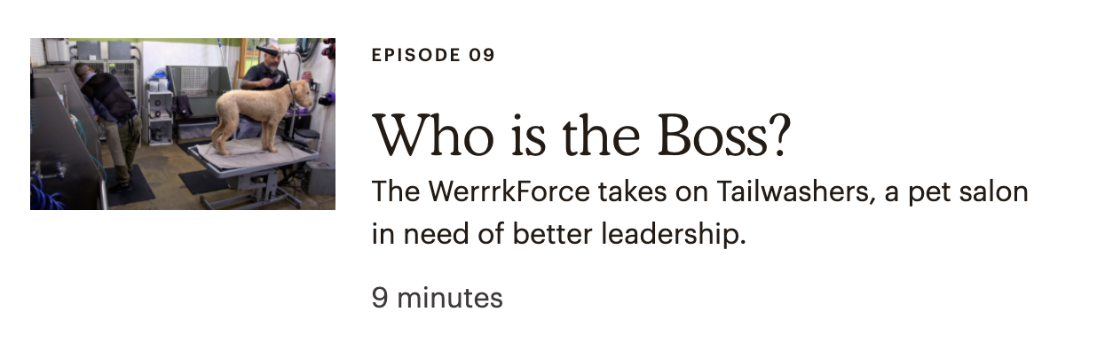 Screen Shot 2020-06-25 at 12.52.38 PM.png