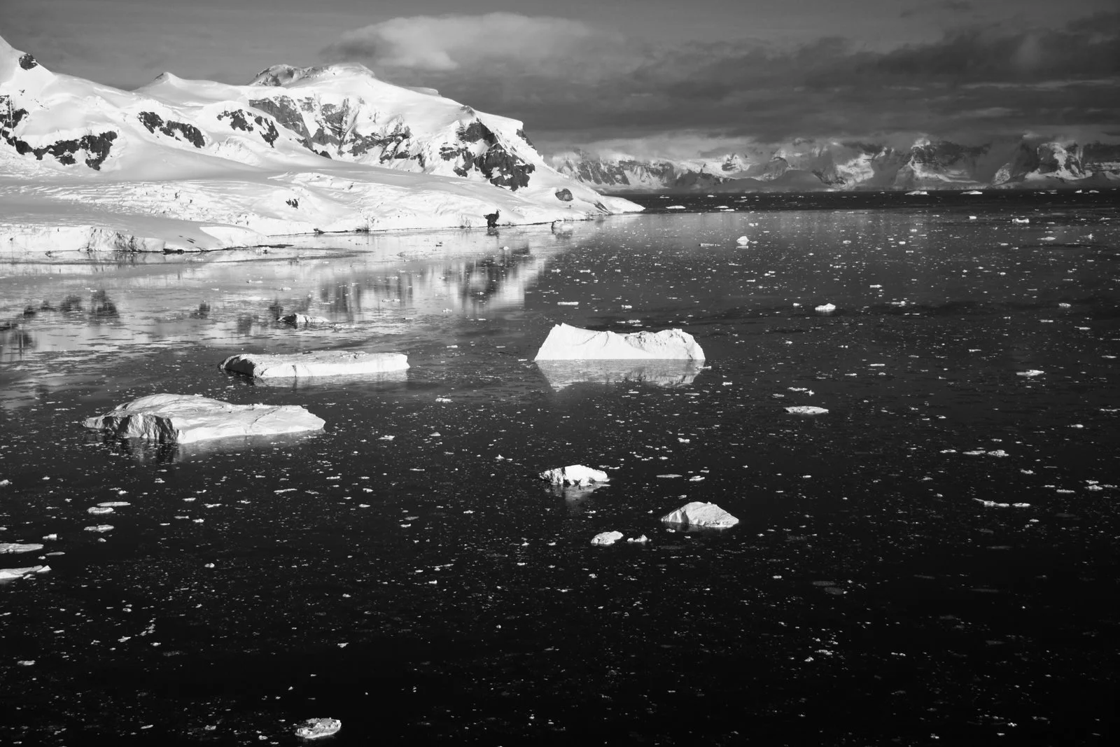 IMG_0107bw.jpg