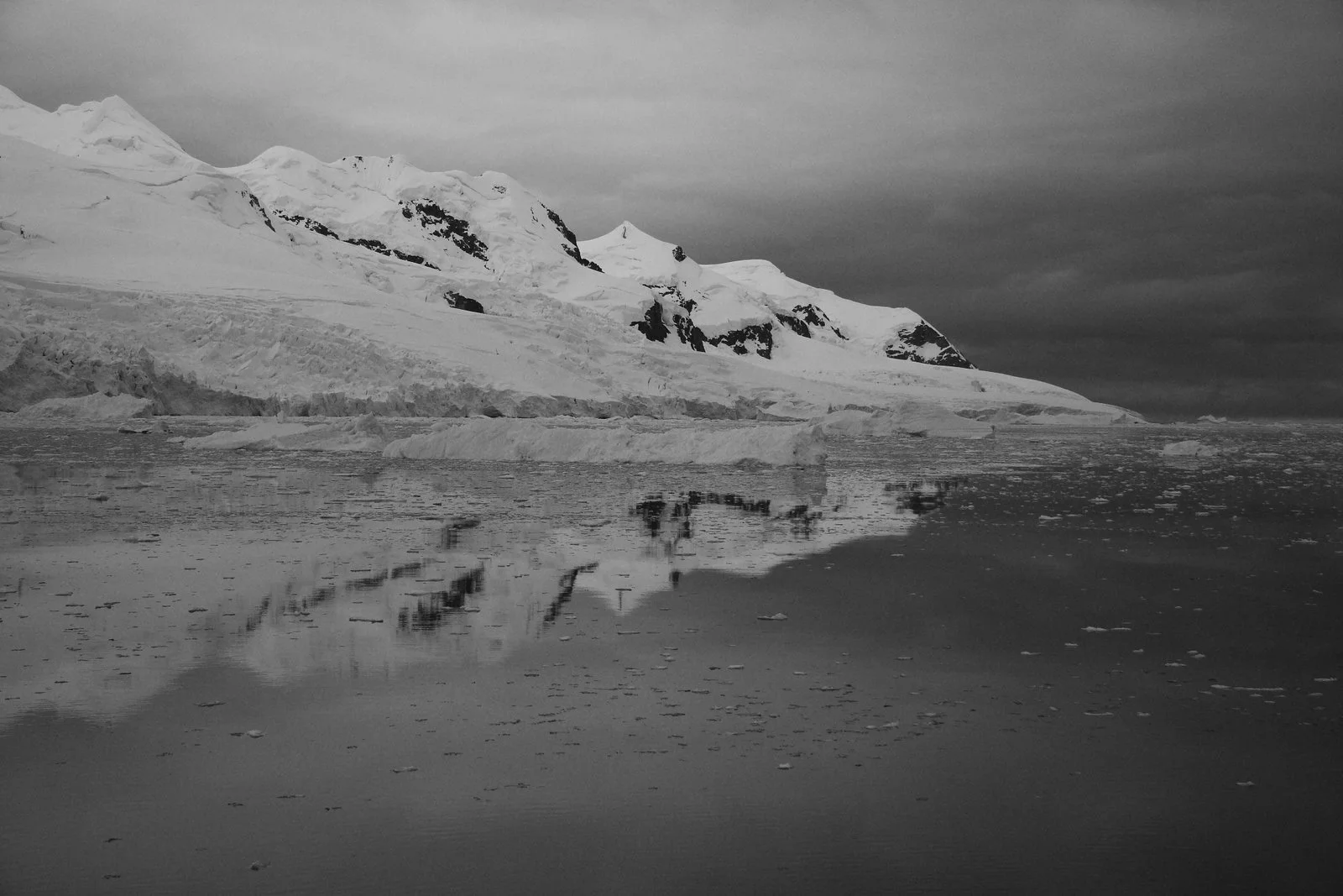 IMG_6789bw.jpg