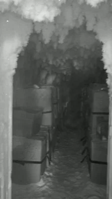 coldstorage2.jpg