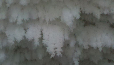 frost.jpg