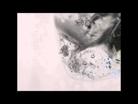 Movie S1: Video of bubble release event shown in Figure 3. Video repeats about 10 times, then loops.