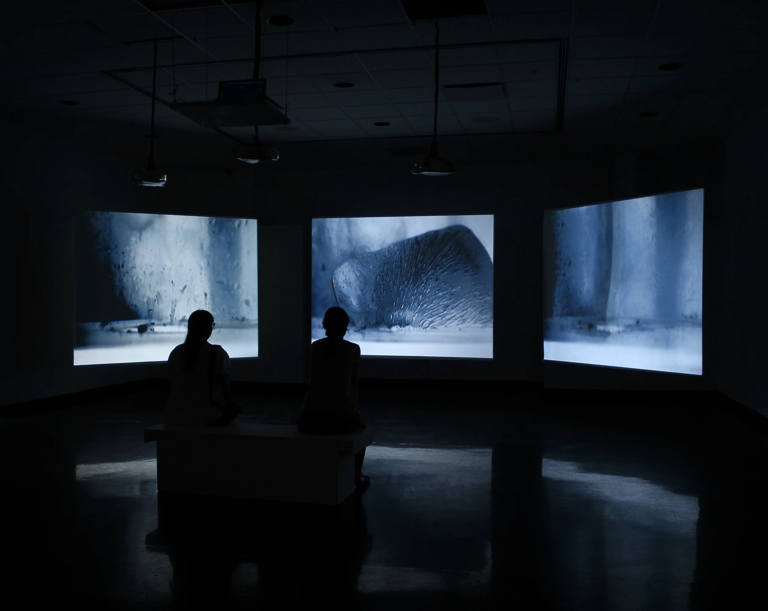 Winner, Professional, François Quévillon, "Defrost", audiovisual